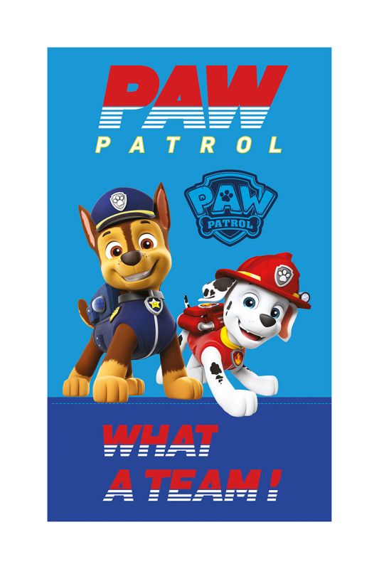 DETEXPOL Dětský ručník Paw Patrol Team  Bavlna - Froté, 50/30 cm