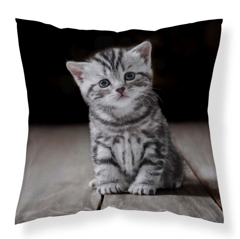 Povlak na polštářek Koťátko micro 40/40