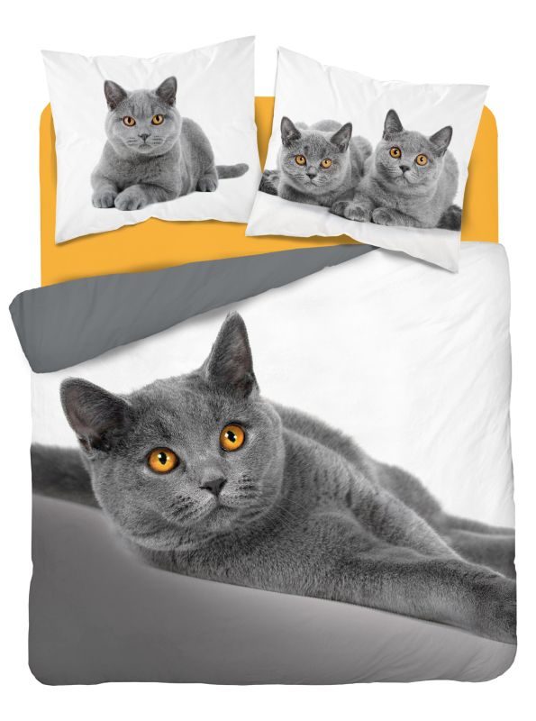 DETEXPOL Francouzské povlečení Kočka grey  Bavlna, 220/200, 2x70/80 cm
