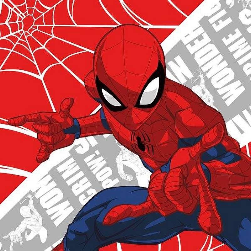 Magický ručníček Spiderman 30/30