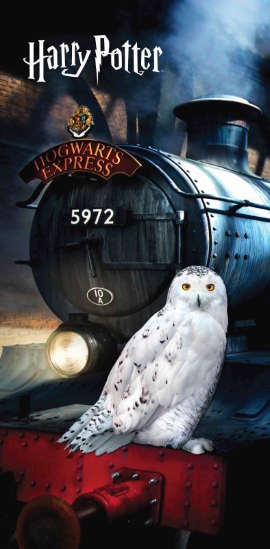 JERRY FABRICS Osuška Harry Potter Hedwig  Bavlna - Froté, 70/140 cm